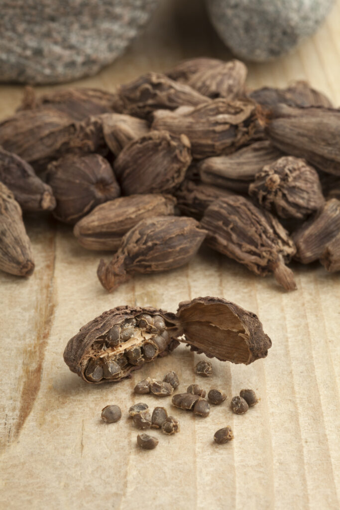 Sesame Seed, Humera Type - Elim Africa